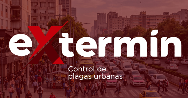 Servicio de fumigación y control de plagas en las alcaldías de la CDMX Ciudad de México por Extremin