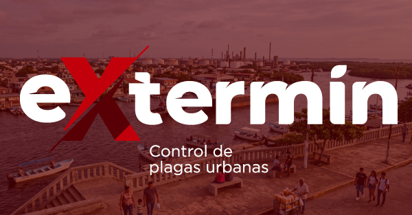 Servicio de fumigación y control de plagas en Coatzacoalcos y en los otros municipios del Estado de Veracruz por Extremin