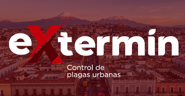 Servicio de fumigación y control de plagas en Puebla y en los demás municipios del Estado de Puebla por Extremin